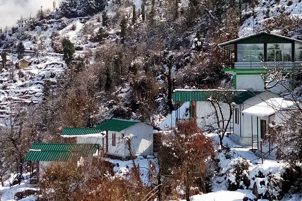 Auli Eco Nature Resort Auli
