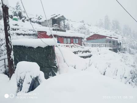 Krishna Resort Auli