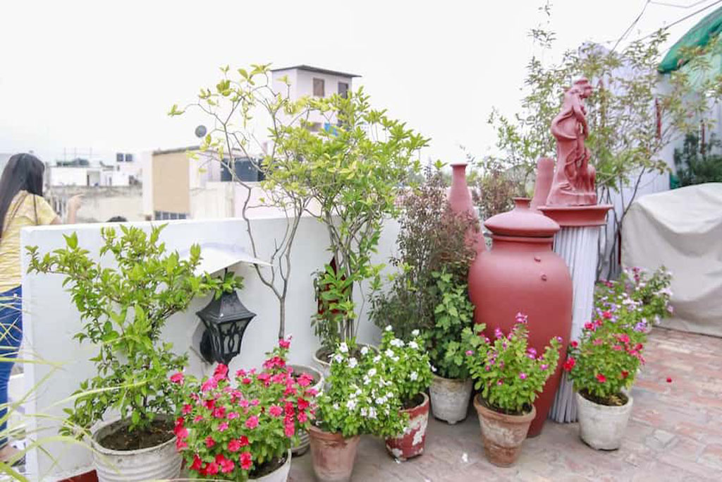 Jai Mata chintpurni Guest House Dharamshala