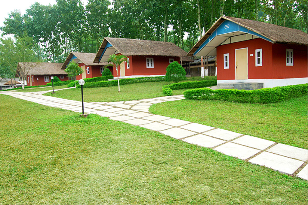 Dhanshree Resort Kaziranga