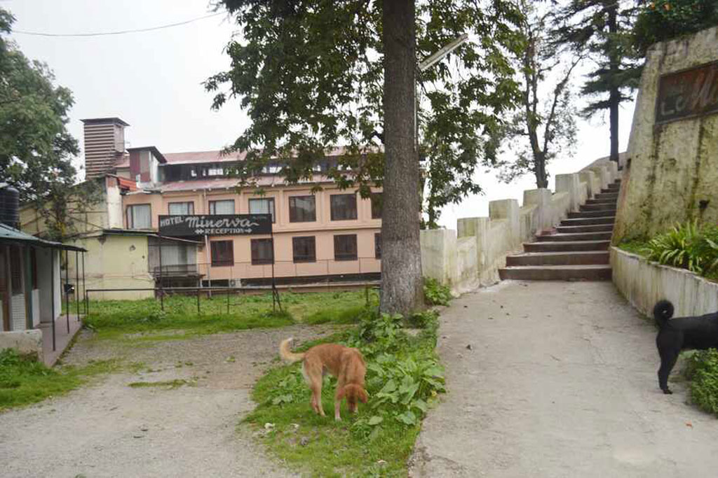 Minerva Hotel Mussoorie