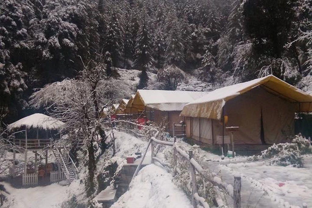 Camp Off The City Shimla