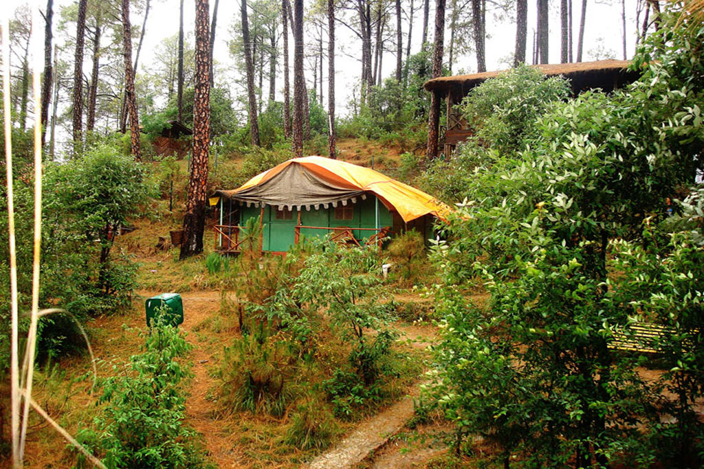 Camp Potters Hill Shimla