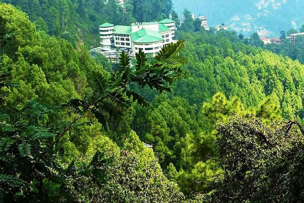 CK International Hotel Shimla