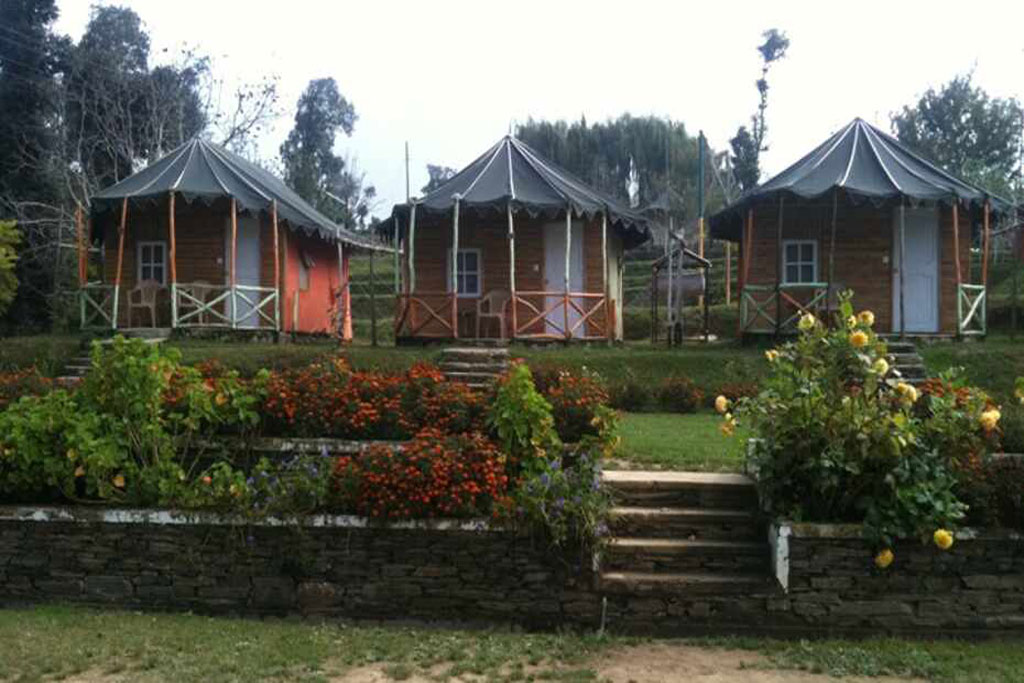 Jungle Livinn Camps and Retreat Shimla